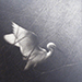 Mikio Watanabe Gallery